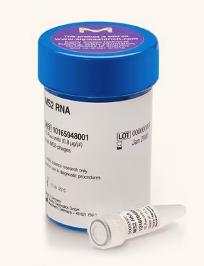 10165948001 MS2噬菌体RNA
