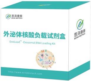 ExoLoad小核酸负载试剂盒（体验装）
